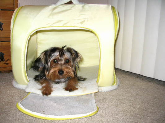 WookieHouse