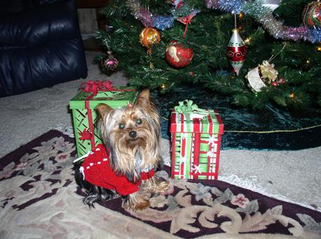 Xmas2006_002a