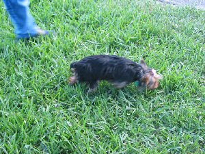 YT_Get_together_018