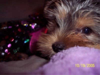 Zoe2