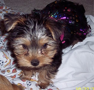 ZoeBaby