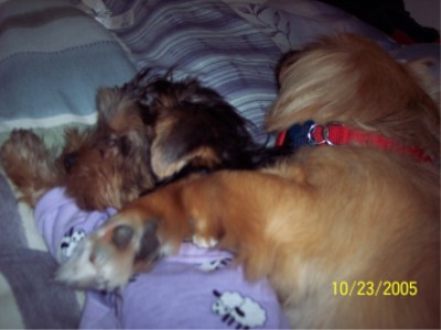 ZoeandBaxter