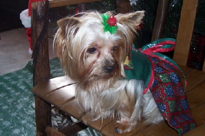 Zoey3