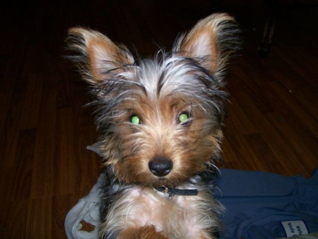 Zoey_1