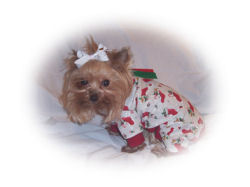 Zoey_glitter_pj