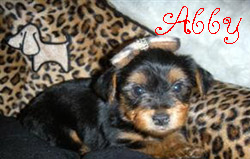 abby_edited-2