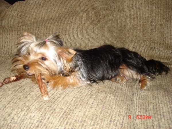 baby_032