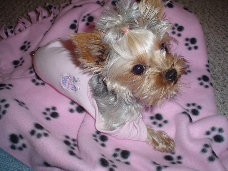 babyp