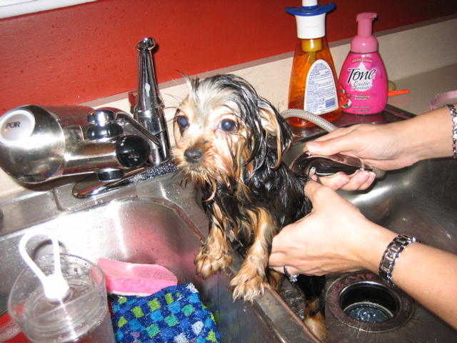 bath_time2