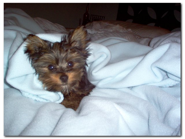 bedtime