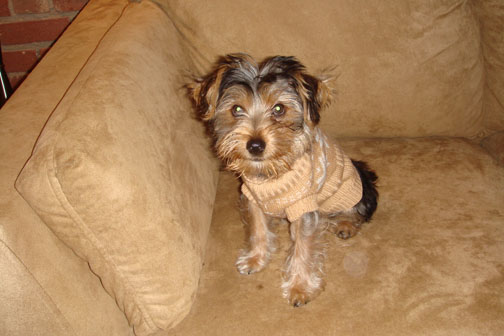 beige_sweater_1
