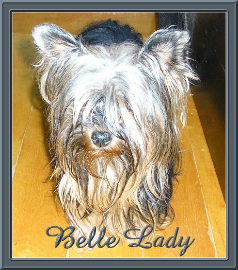 belle-lady