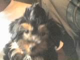 ben
