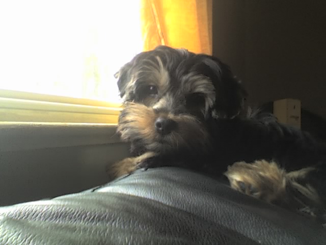 ben_looking_out_window