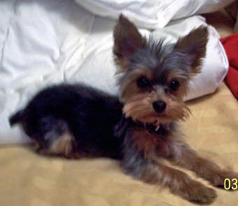 benny_march_21