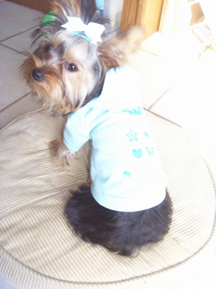 bluesweater9