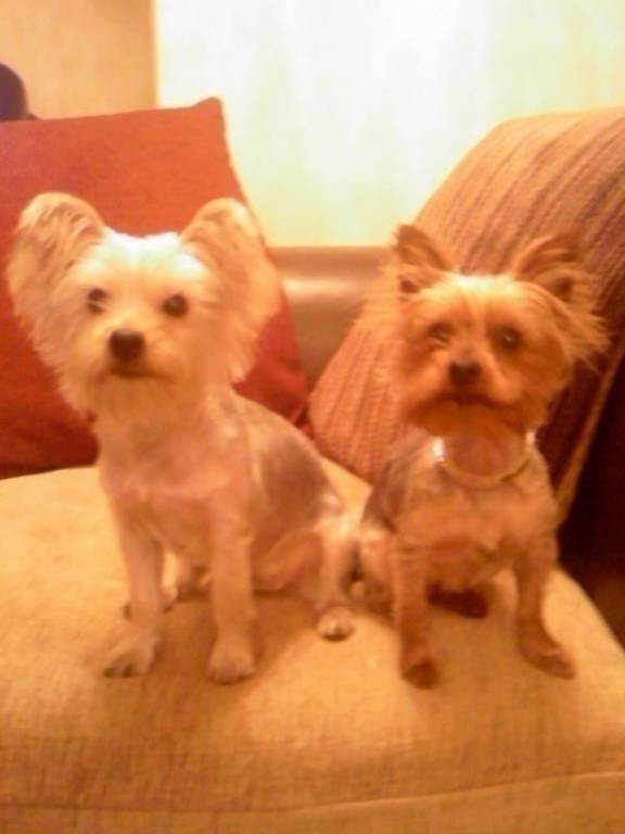 boots_an_missy