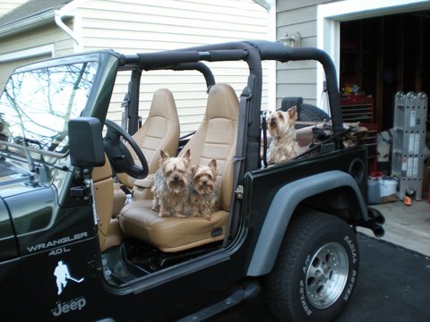 boys_in_Jeep_2_-_April_09