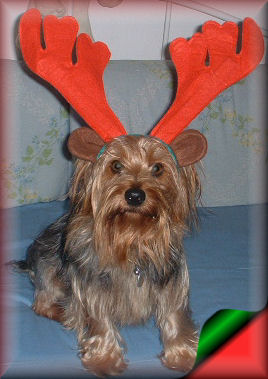 browniechristmas1