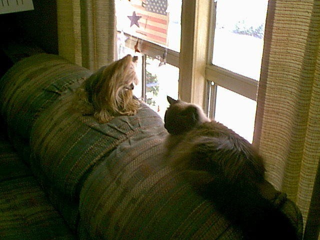 buds3