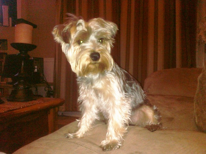 coco_mith