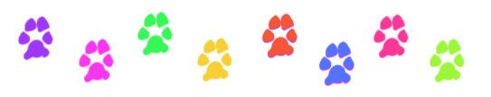 colorful-mini-paw-divider-brights