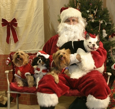 cropsanta4-2007