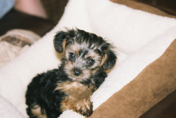 cuteness