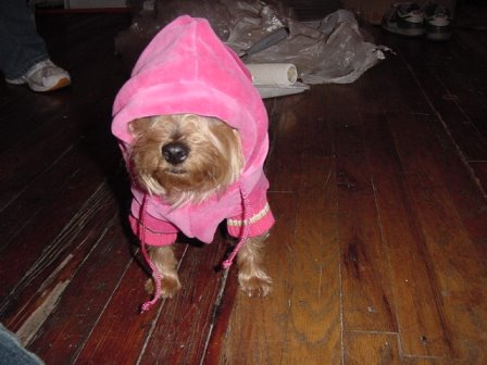 ellie_hoodie