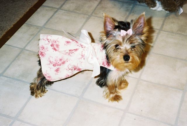 flowerdress