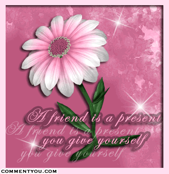 friend19