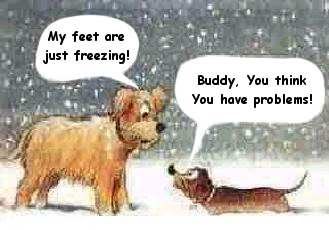 funny-73