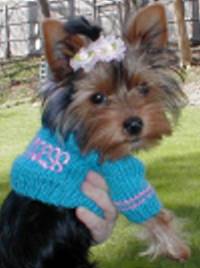 gracie_smaller_kb