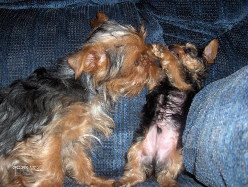 haileyandbruce