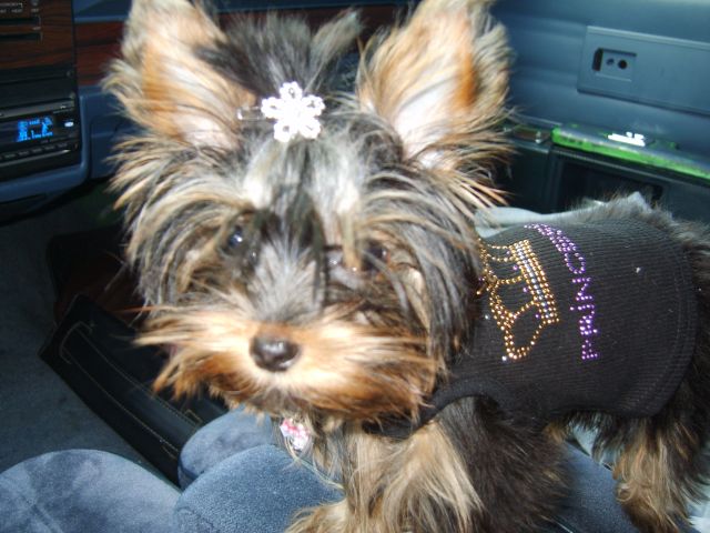 halloween06_040