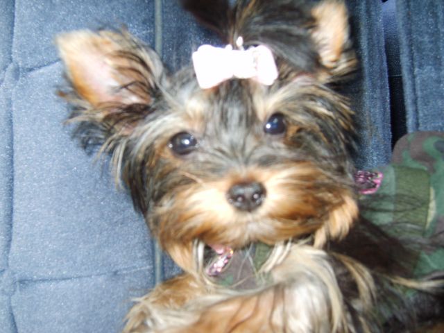 halloween06_061