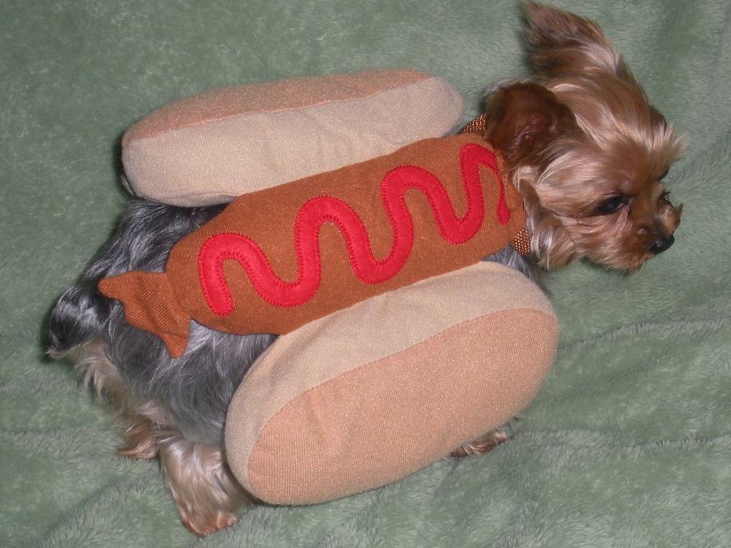 hot_dog_girl