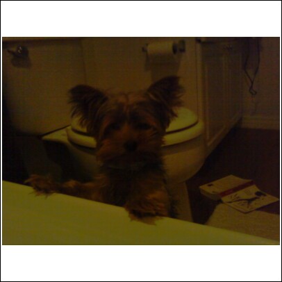 hot_tub_milo