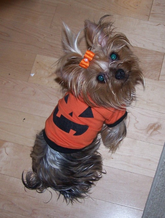 howloween
