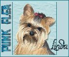 imageMA11944812-0005MA12314808-0007
