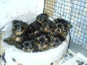 imageMA12112271-0002MA12390139-0001