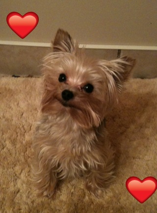 iphone_pictues_001