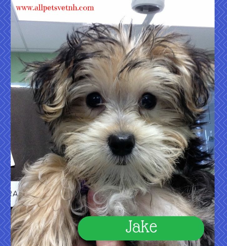 jake-IMG_0599