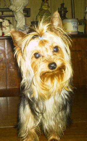 jake6
