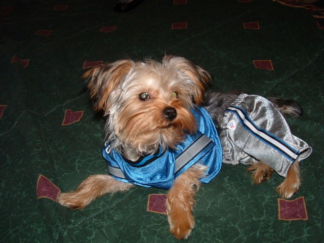 jeter_012_640_x_480_