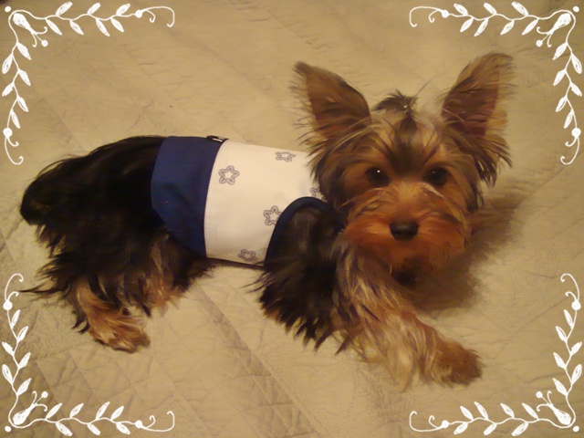 kacy1