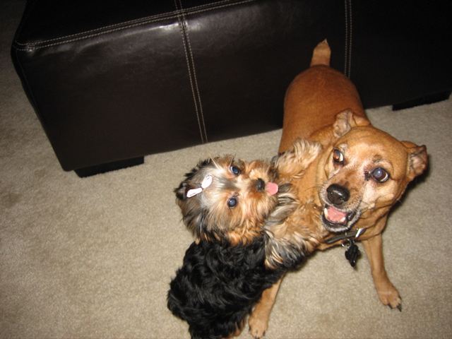 kissing_big_brother