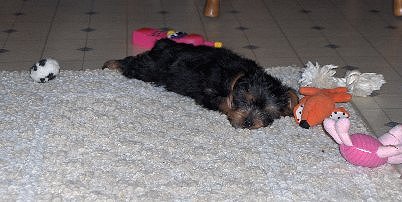 kizzy_006