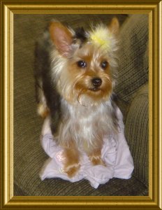 lola4
