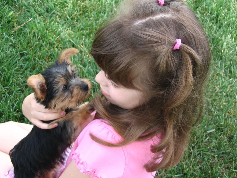 love_at_first_sight
